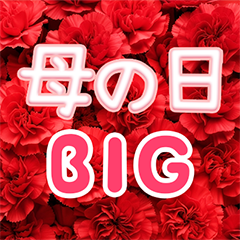 母の日　BIG